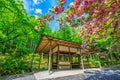Zen Temple garden Royalty Free Stock Photo