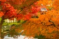 Zen temple roof among orange and red autumn trees in Kyoto Royalty Free Stock Photo