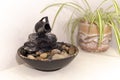 Zen water fountain next to a plant Royalty Free Stock Photo