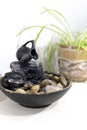 Zen water fountain next to a plant Royalty Free Stock Photo