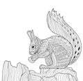 Zenart - zentangle squirrel. Coloring book for adults