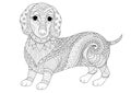 Zendoodle design of dachshund puppy for adult coloring book and T shirt design. Stock