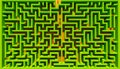 Zenithal view of a bush maze with people lost