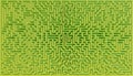 Zenithal view of a very large green bush maze