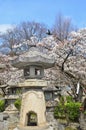 Zenkoji Garden