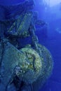 Zenobia ship wreck