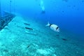 Zenobia Ship Wreck near Paphos Royalty Free Stock Photo