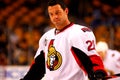 Zenon Konopka Ottawa Senators Royalty Free Stock Photo