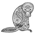 Zentangle Australian platypus totem for adult anti stress Royalty Free Stock Photo