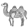 Zentangle camel