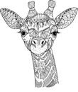 Zentangle giraffe