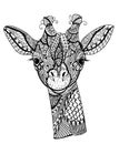 Zentangle giraffe