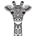 Zentangle giraffe on withe background.