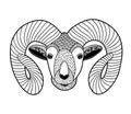 Zentangle head of mountain ram for coloring.