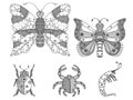Zentangle insects illustration.