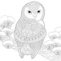 Zentangle owl coloring page