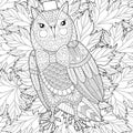 Zentangle Owl painting for adult anti stress coloring page