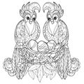 Zentangle parrot on nest. Hand Drawn vector