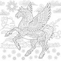 Zentangle pegasus horse Royalty Free Stock Photo