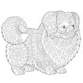 Zentangle Pekingese Dog