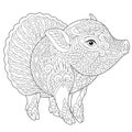 Zentangle pig piggy coloring page