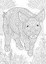 Zentangle pig piggy hog Royalty Free Stock Photo