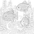 Zentangle piranhas fishes