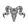 Zentangle skull head of ram