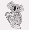 Zentangle style koala. Black white hand drawn doodle Royalty Free Stock Photo