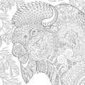 Zentangle stylized bison Royalty Free Stock Photo