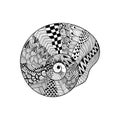 Zentangle stylized black seashell. Hand Drawn vector illustratio Royalty Free Stock Photo