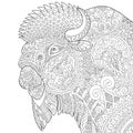 Zentangle stylized buffalo Royalty Free Stock Photo