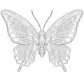 Zentangle stylized butterfly Royalty Free Stock Photo