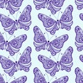 Zentangle stylized Butterfly seamless pattern. Hand Drawn Royalty Free Stock Photo