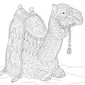 Zentangle stylized camel Royalty Free Stock Photo