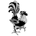 Zentangle stylized cartoon rooster cock, isolated on white background.