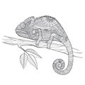 Zentangle stylized Chameleon lizard. Hand Drawn vector illustration in doodle style
