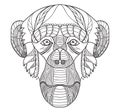 Zentangle stylized chimpanzee head, chinese zodiac, vector, illustration, freehand pencil, hand drawn, pattern. Monkey doodle.