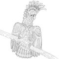 Zentangle stylized cockatoo parrot Royalty Free Stock Photo