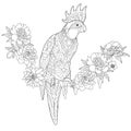 Zentangle stylized cockatoo parrot Royalty Free Stock Photo