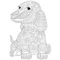 Zentangle stylized dachshund (teckel) Royalty Free Stock Photo