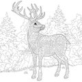 Zentangle stylized deer