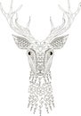 Zentangle stylized deer head, black and white, hand drawn, vector Royalty Free Stock Photo