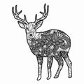 Zentangle stylized deer illustration. Hand Drawn doodle illustration isolated on white background. Royalty Free Stock Photo