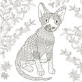 Zentangle stylized devon rex cat for coloring page