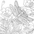 Zentangle stylized dragonfly insect Royalty Free Stock Photo