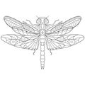 Zentangle stylized dragonfly insect Royalty Free Stock Photo