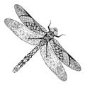 Zentangle stylized dragonfly. Sketch for tattoo or t-shirt.