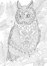 Zentangle stylized eagle owl Royalty Free Stock Photo