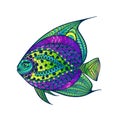 Zentangle stylized Fish with abstract colorful background.